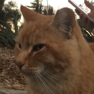 Meet your Posher, Wednesday